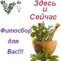 Фитосбор